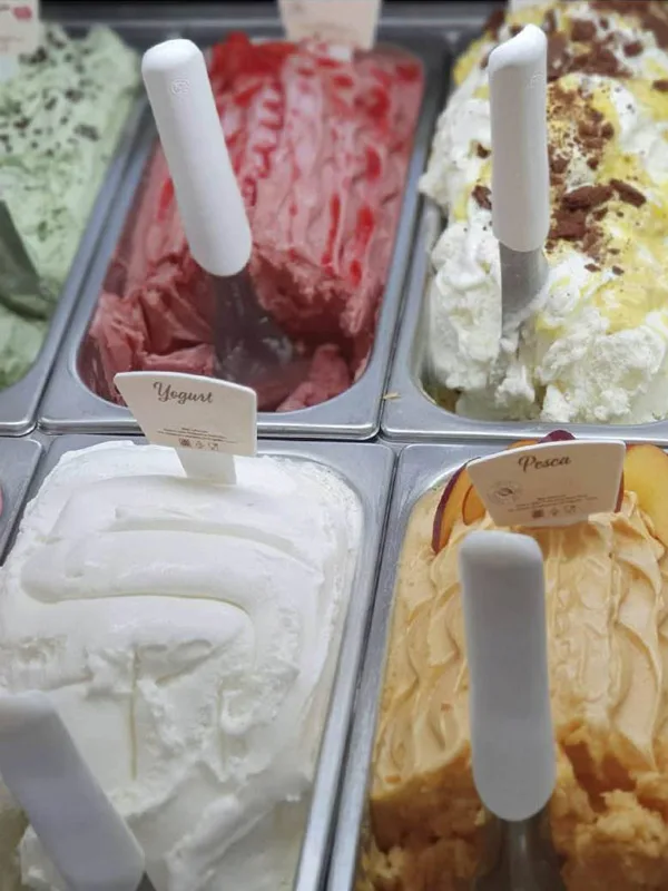 Deposito de helado 5 litros